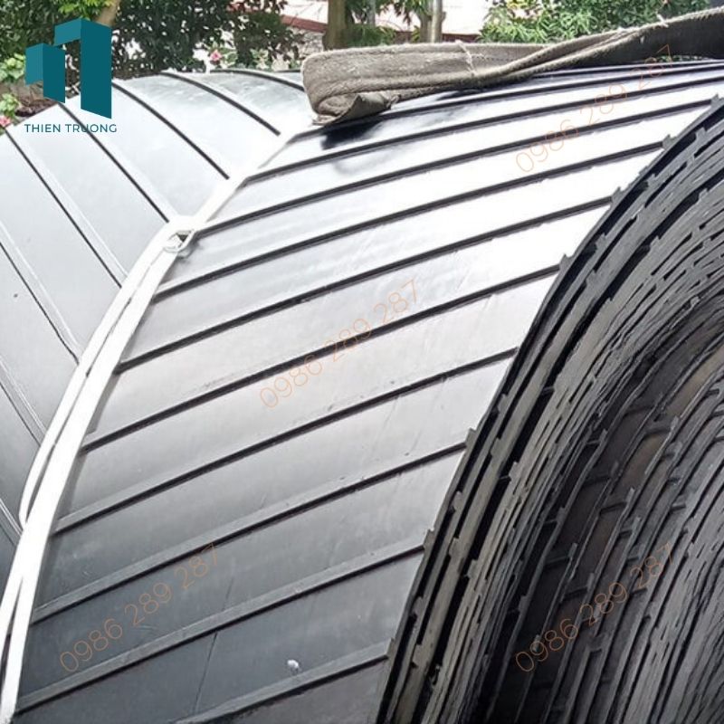Băng Tải Cao Su Gân B1000